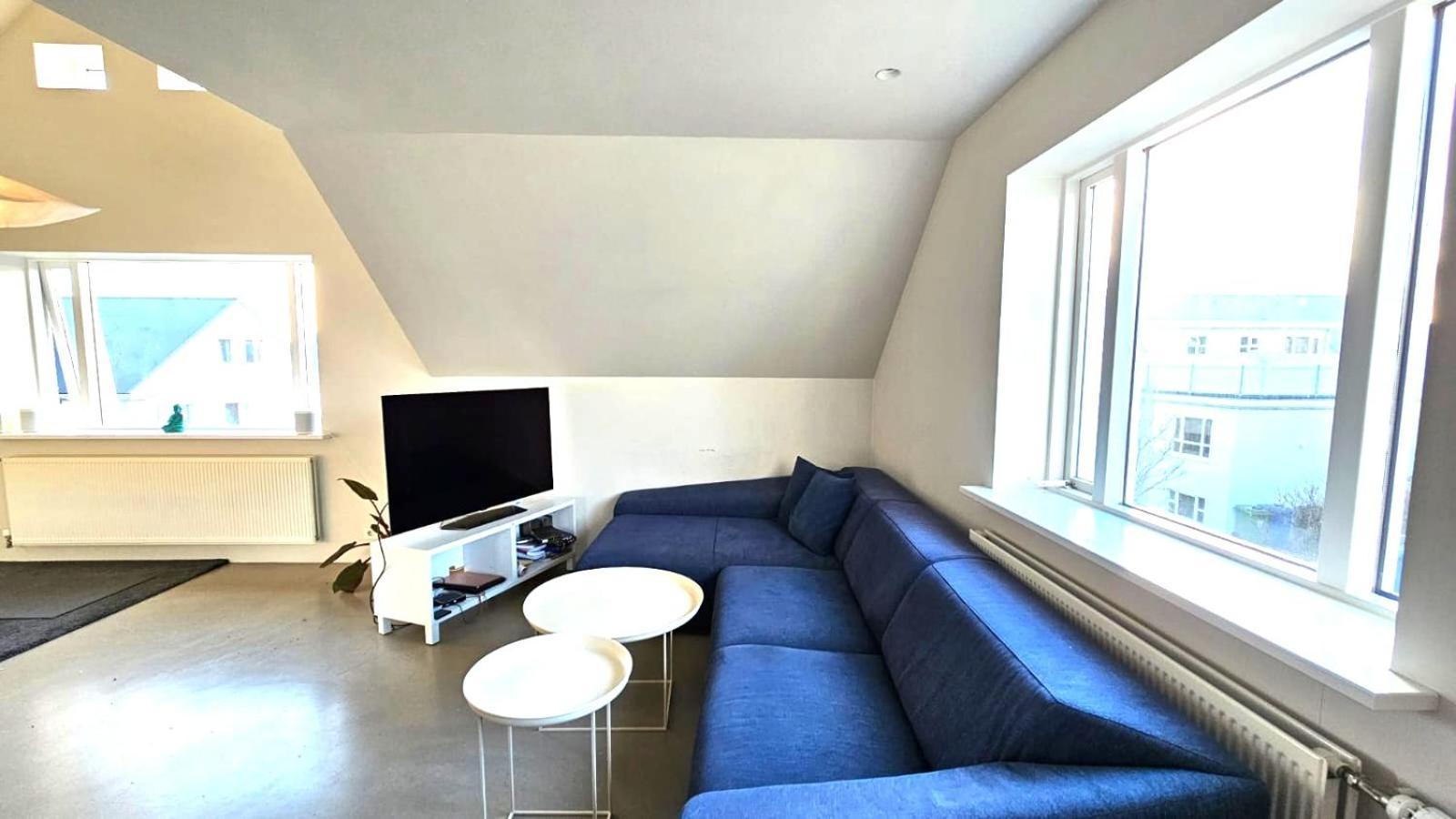 Spacious Nordic In Rvk