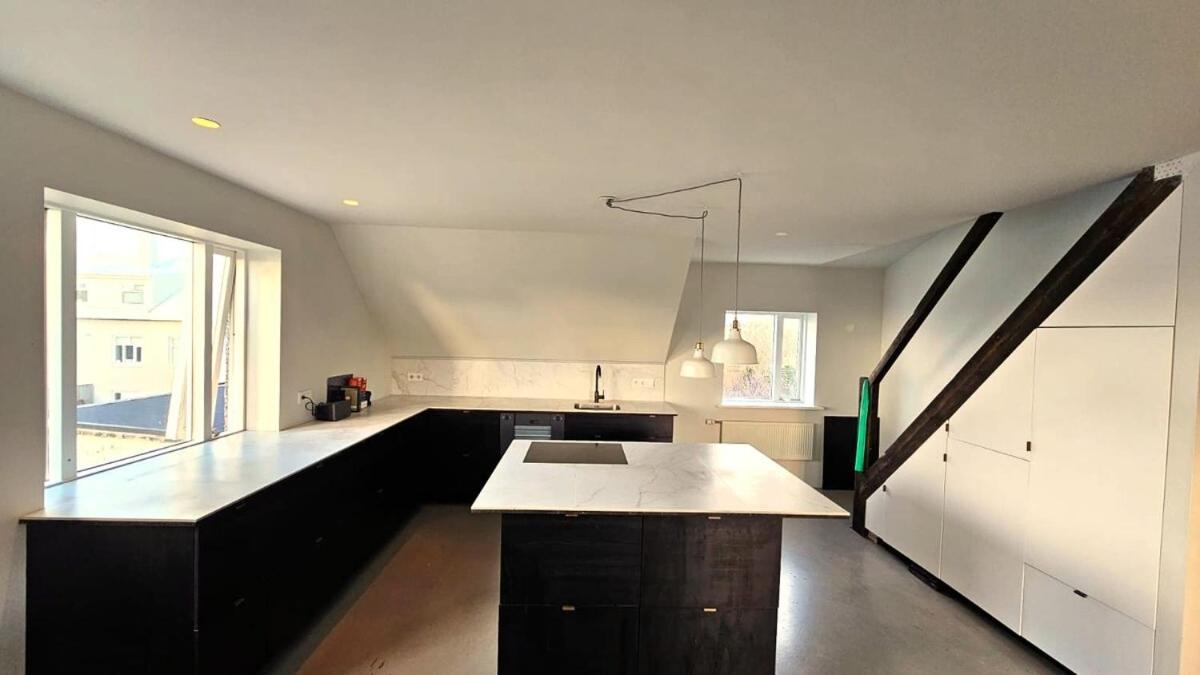 Spacious Nordic In Rvk
